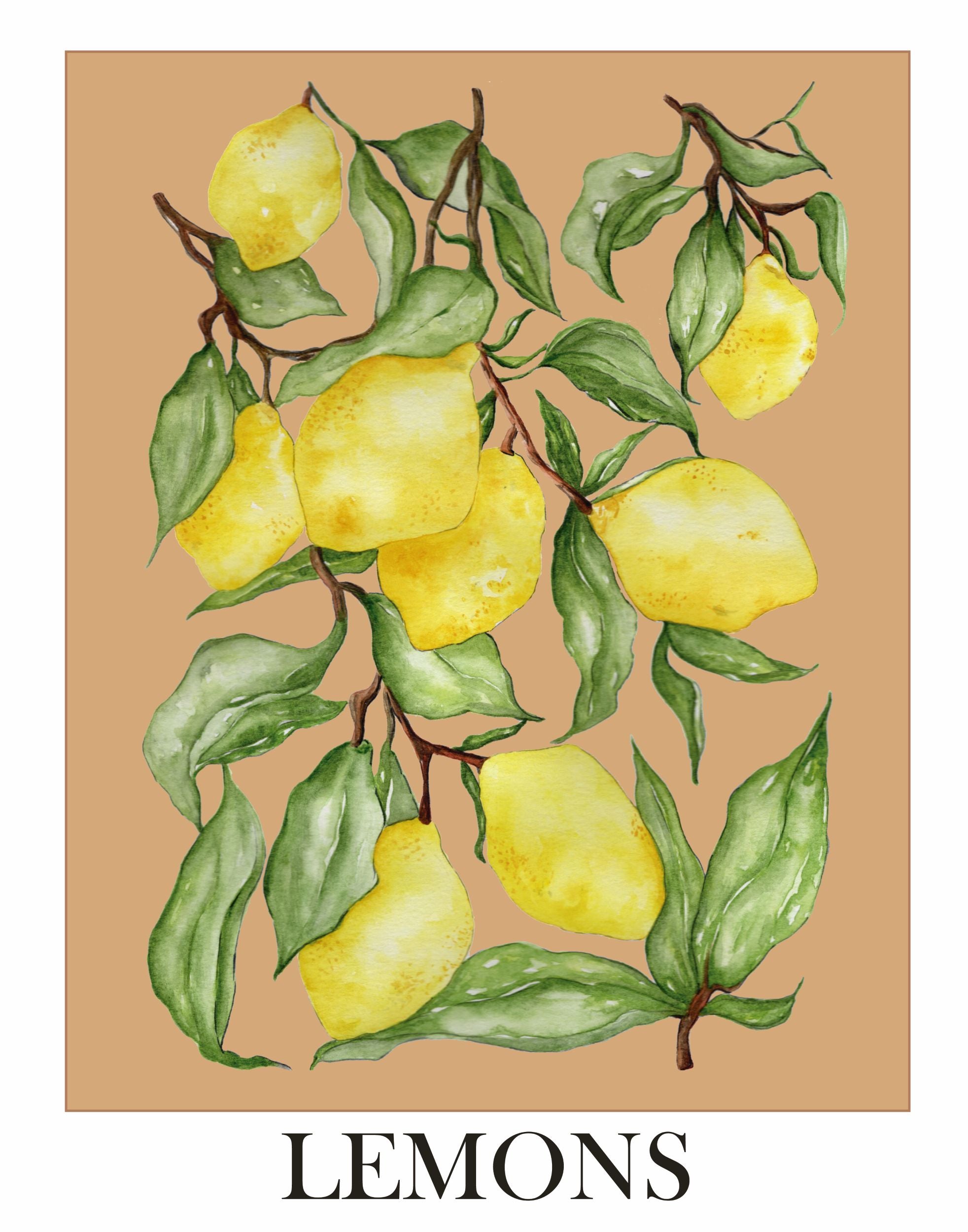 Fruit posters