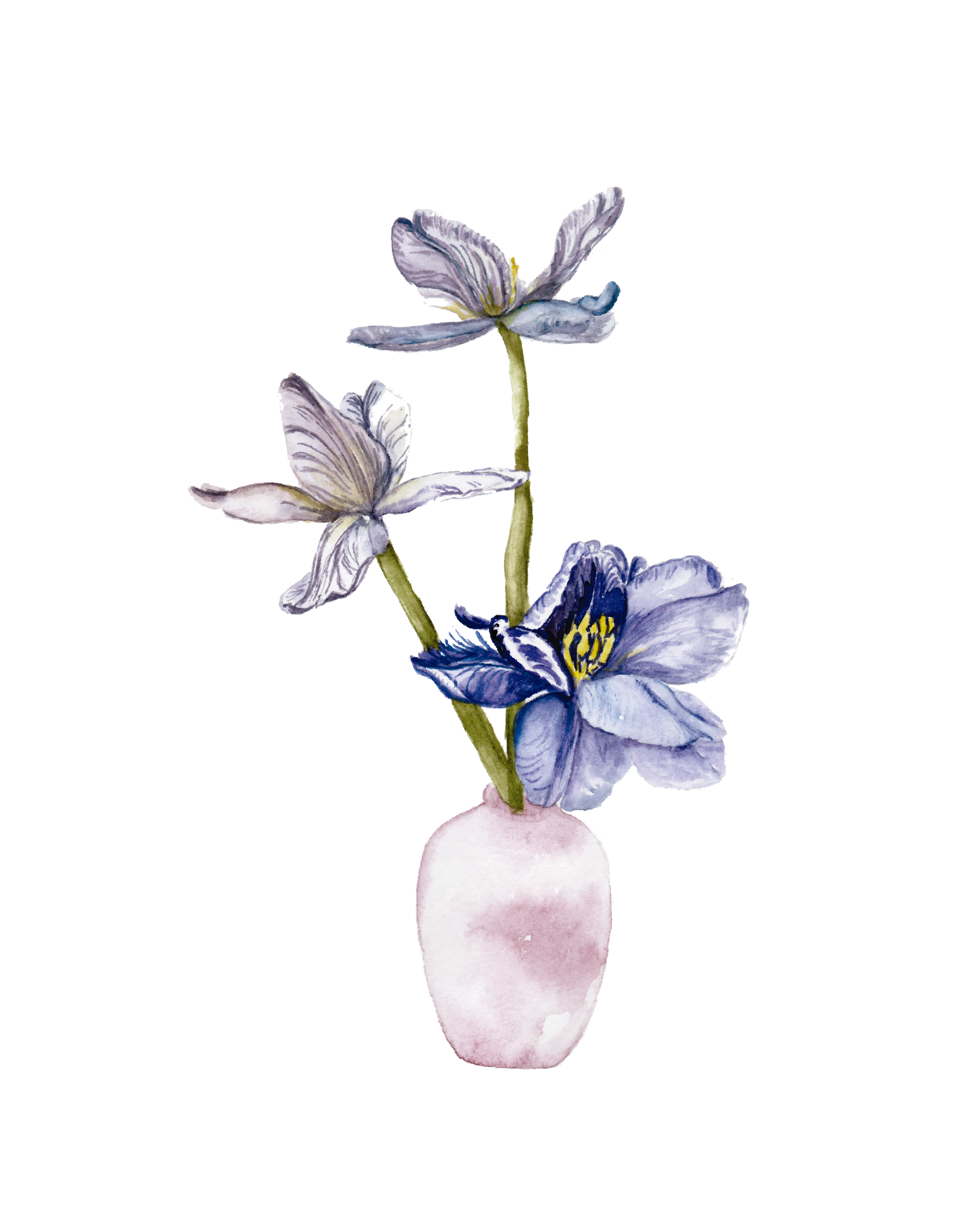 Blue tulips - art print