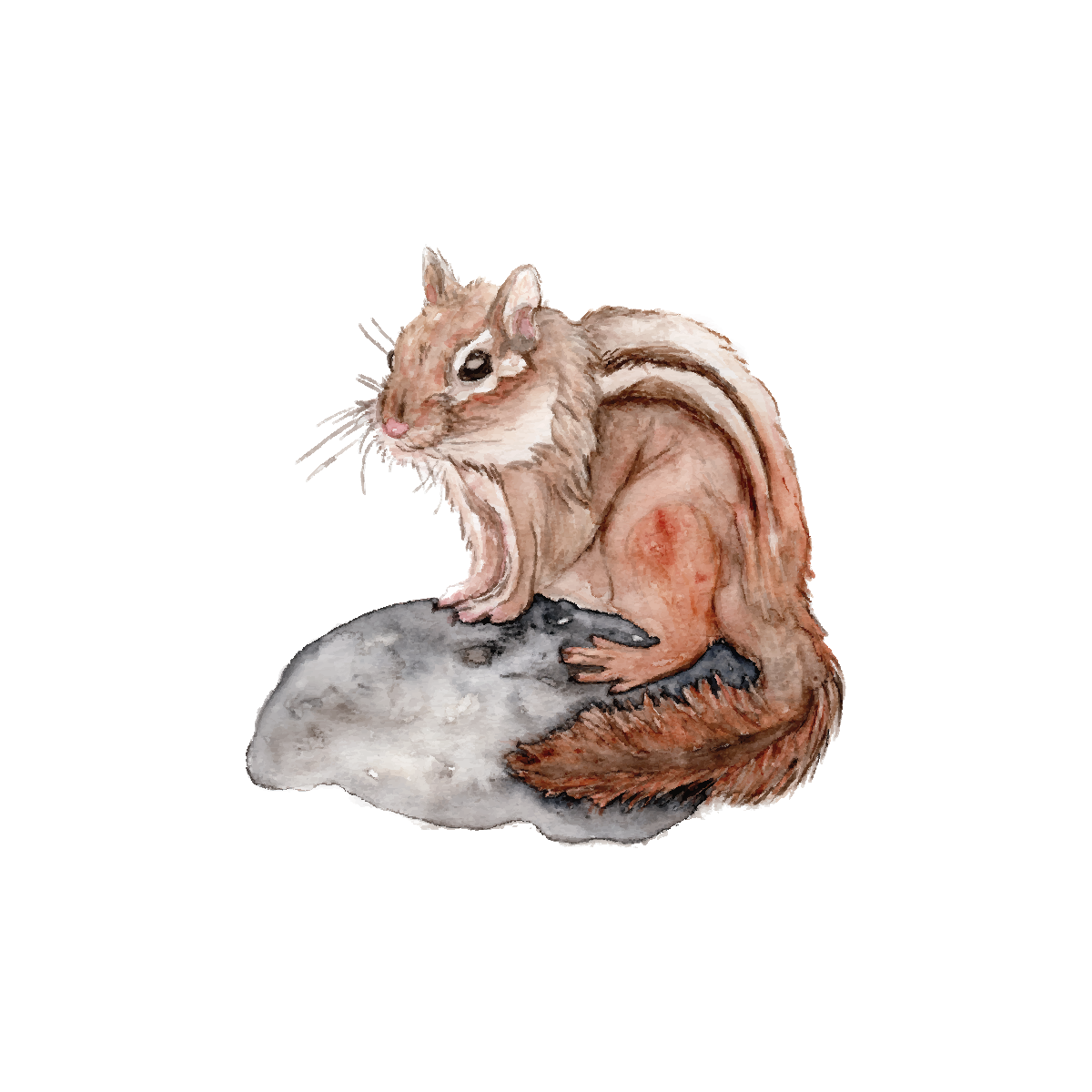 Chipmunk - mini art print