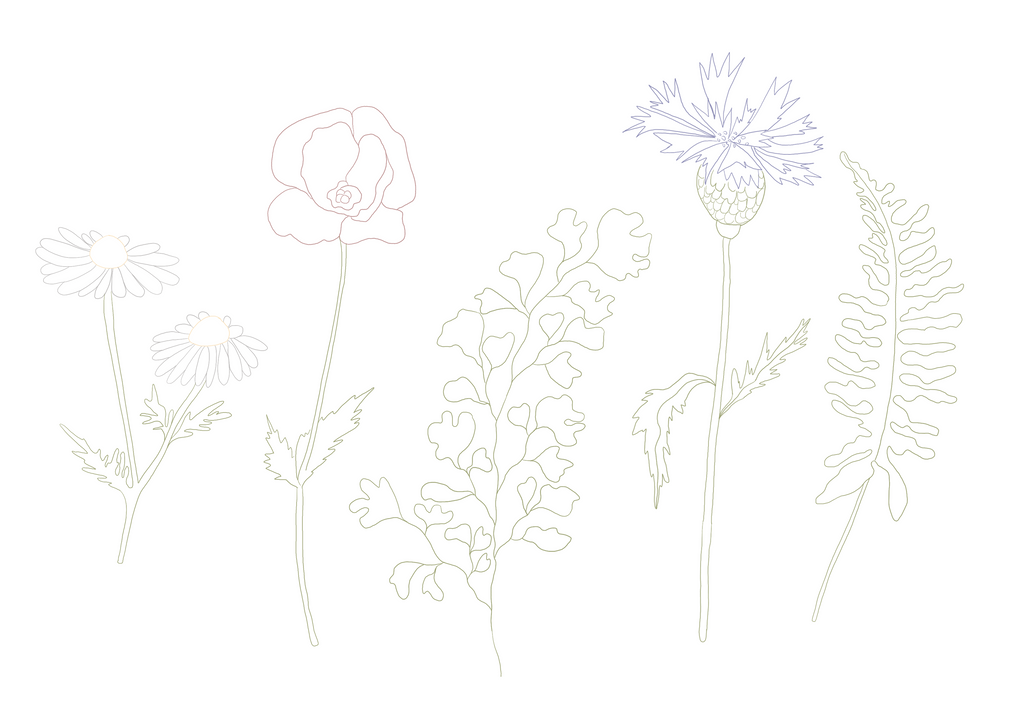 DIY Postcard set - the Summer edition