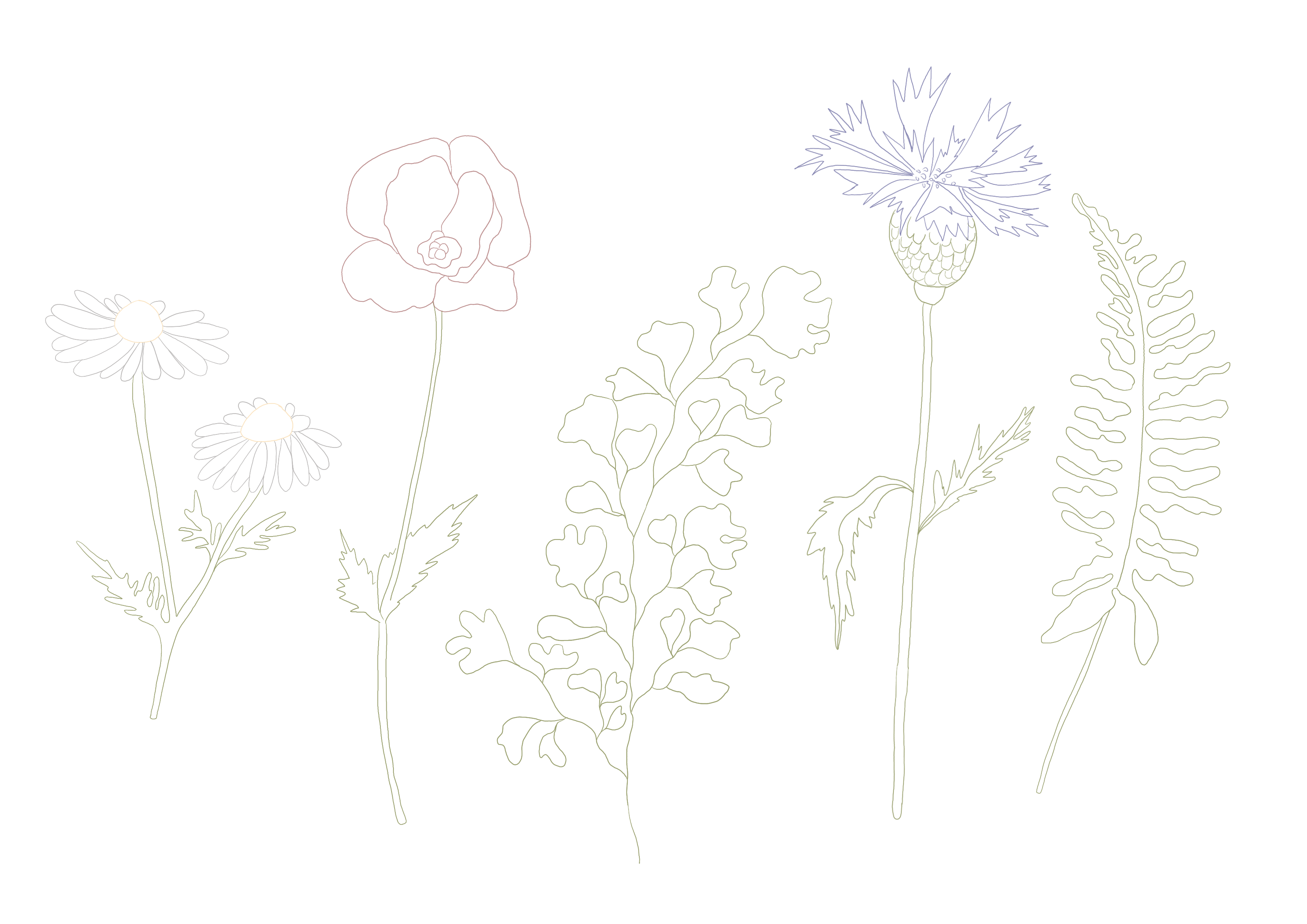 DIY Postcard set - the Summer edition