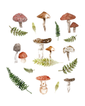 Forest scenes poster - art print