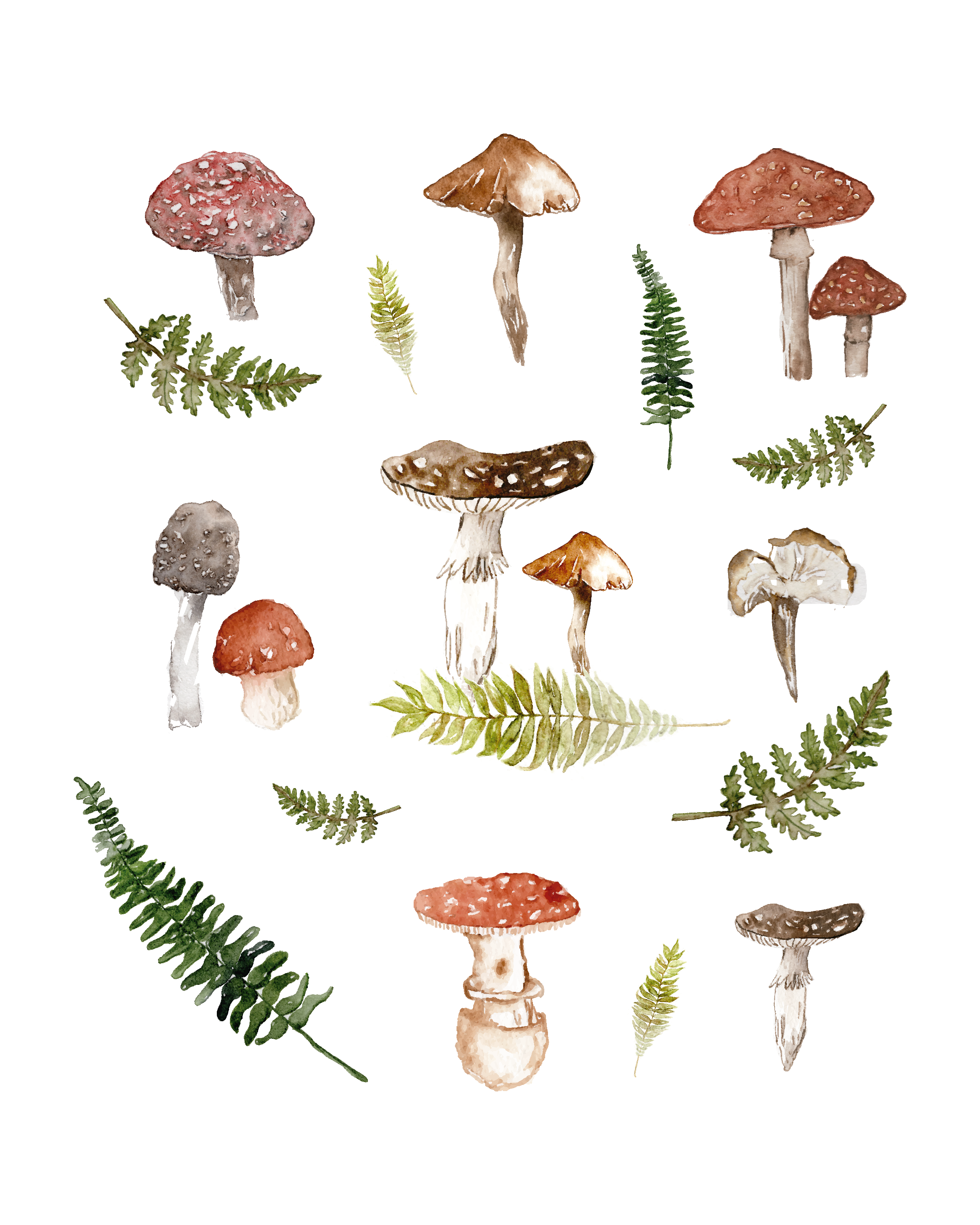 Forest scenes poster - art print