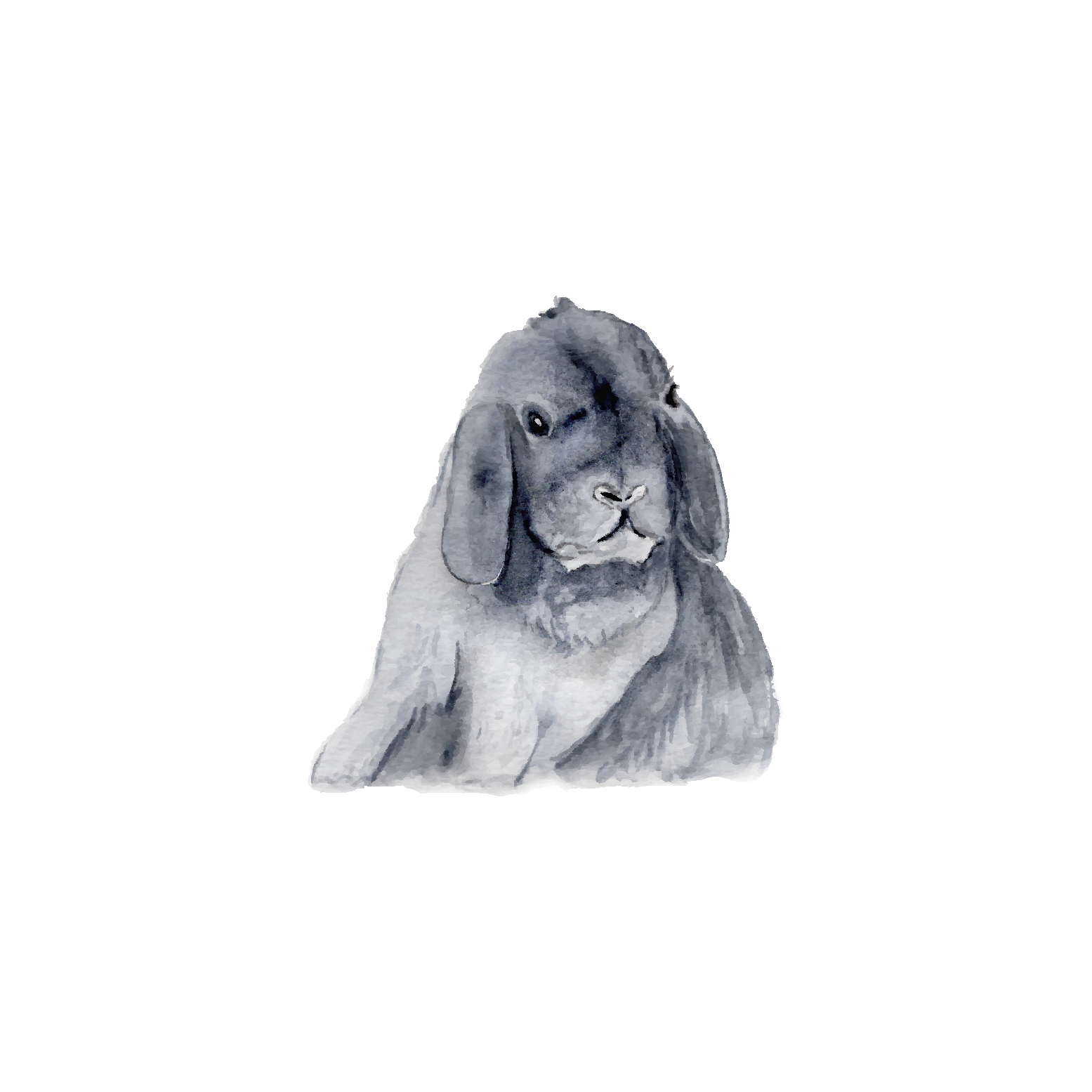 Grey bunny - mini art print