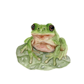 Frog – Woodland Mini Art Print (4x4")