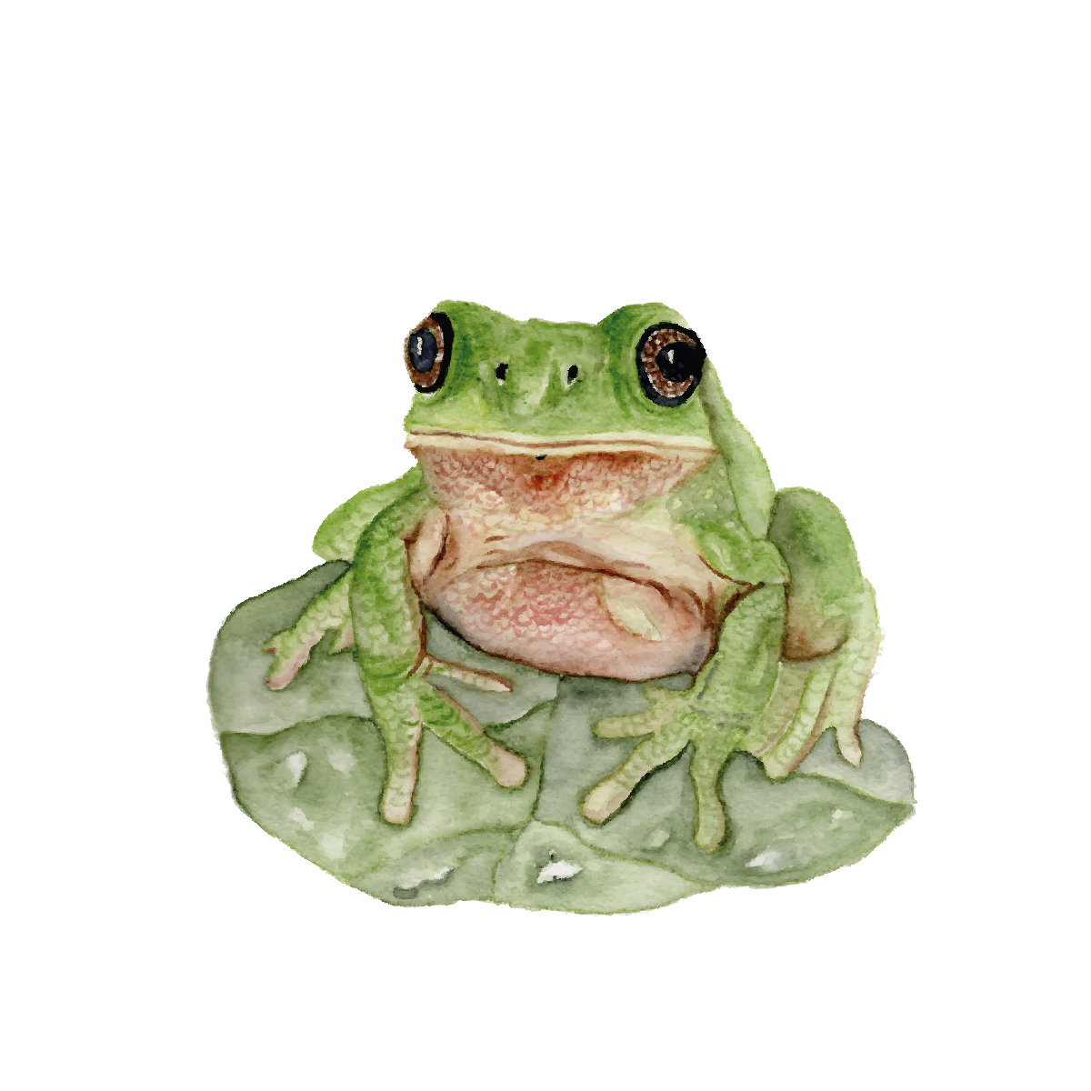 Frog – Woodland Mini Art Print (4x4")