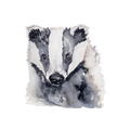 Badger – Woodland Mini Art Print (4×4")