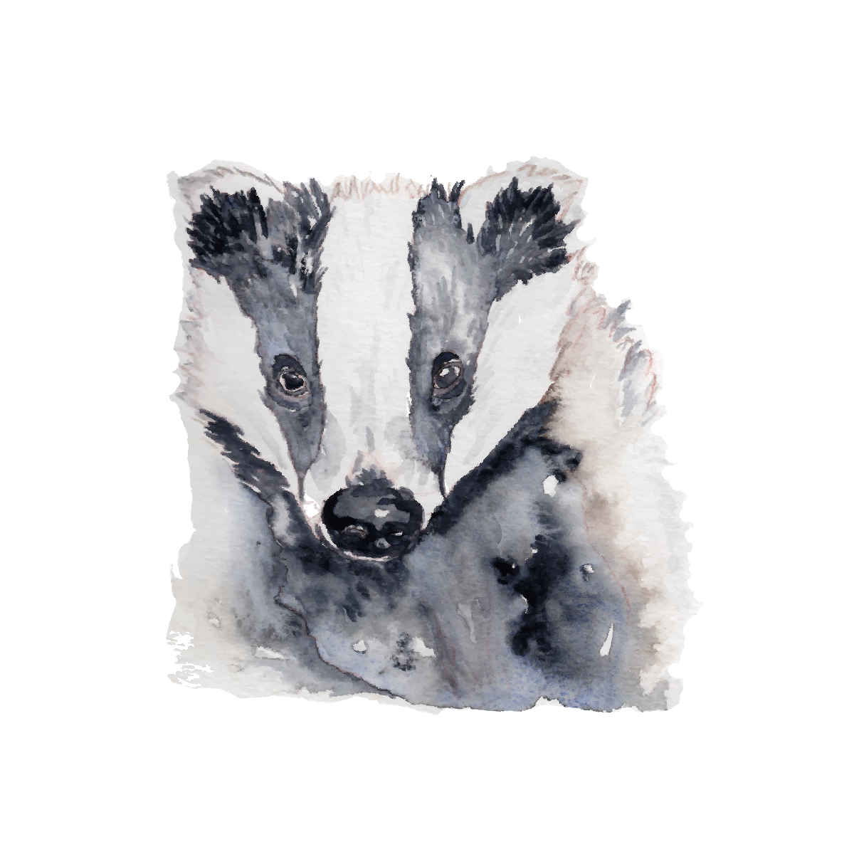 Badger – Woodland Mini Art Print (4×4")