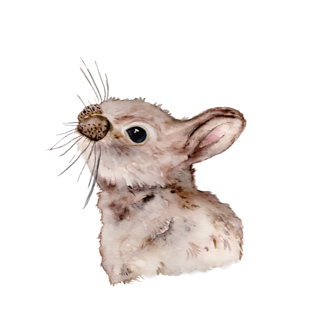 Baby Bunny – Woodland Mini Art Print (4×4")