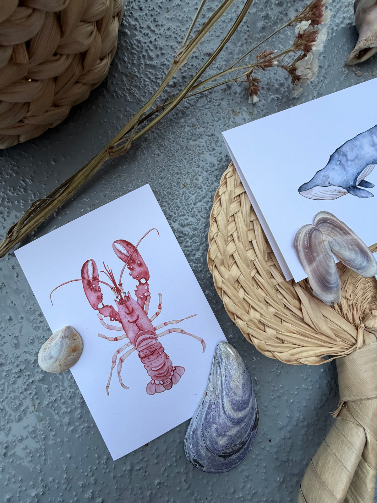 A styled flat-lay of two white greeting cards featuring watercolor sea life illustrations - a red lobster and a blue-gray whale - placed on a textured gray surface with seashells, a woven basket, and dried grass.