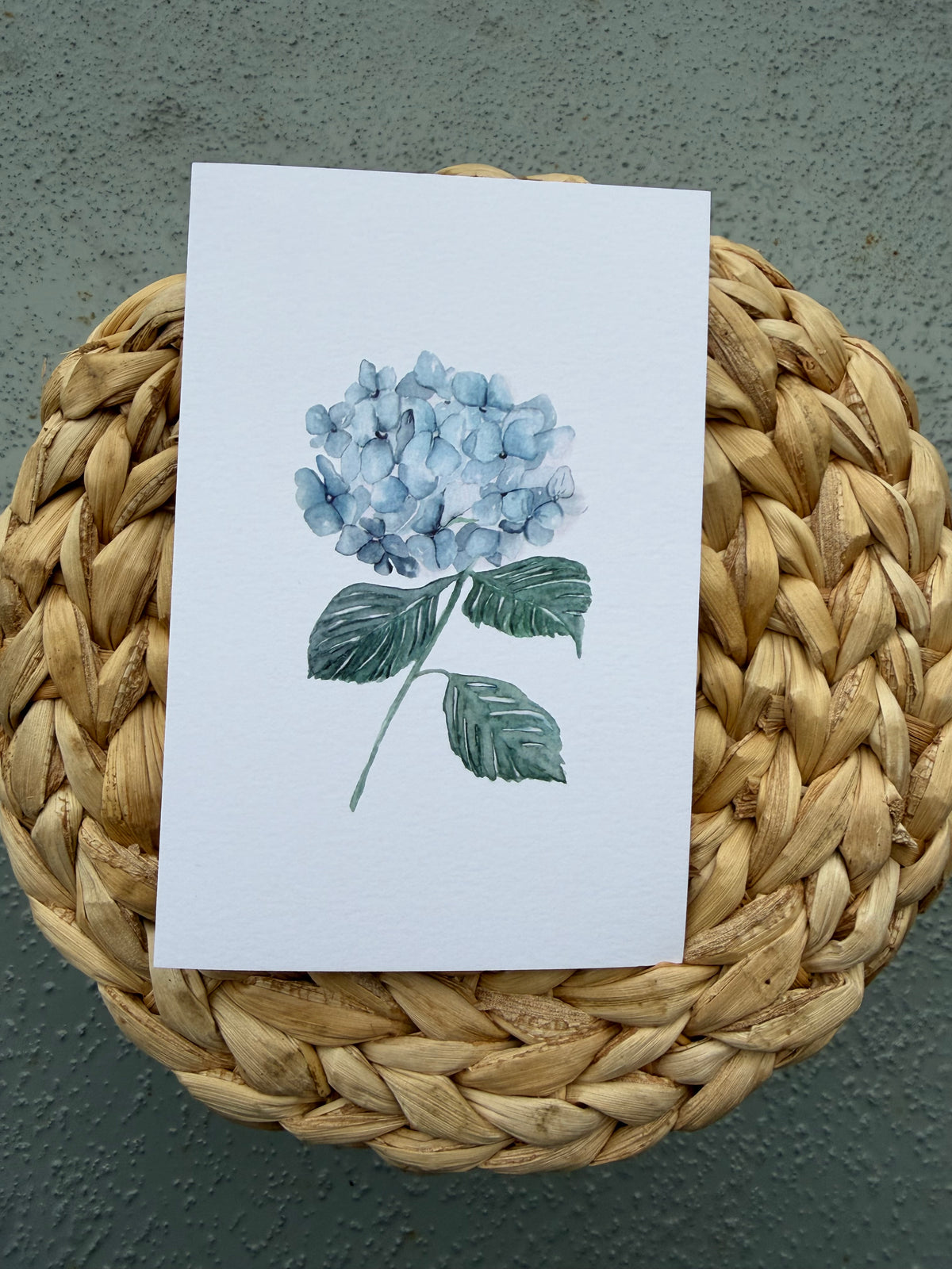 A botanical greeting card featuring a watercolor illustration of a light blue hydrangea with green leaves on a white card, styled on a round woven straw mat against a textured gray-green background.