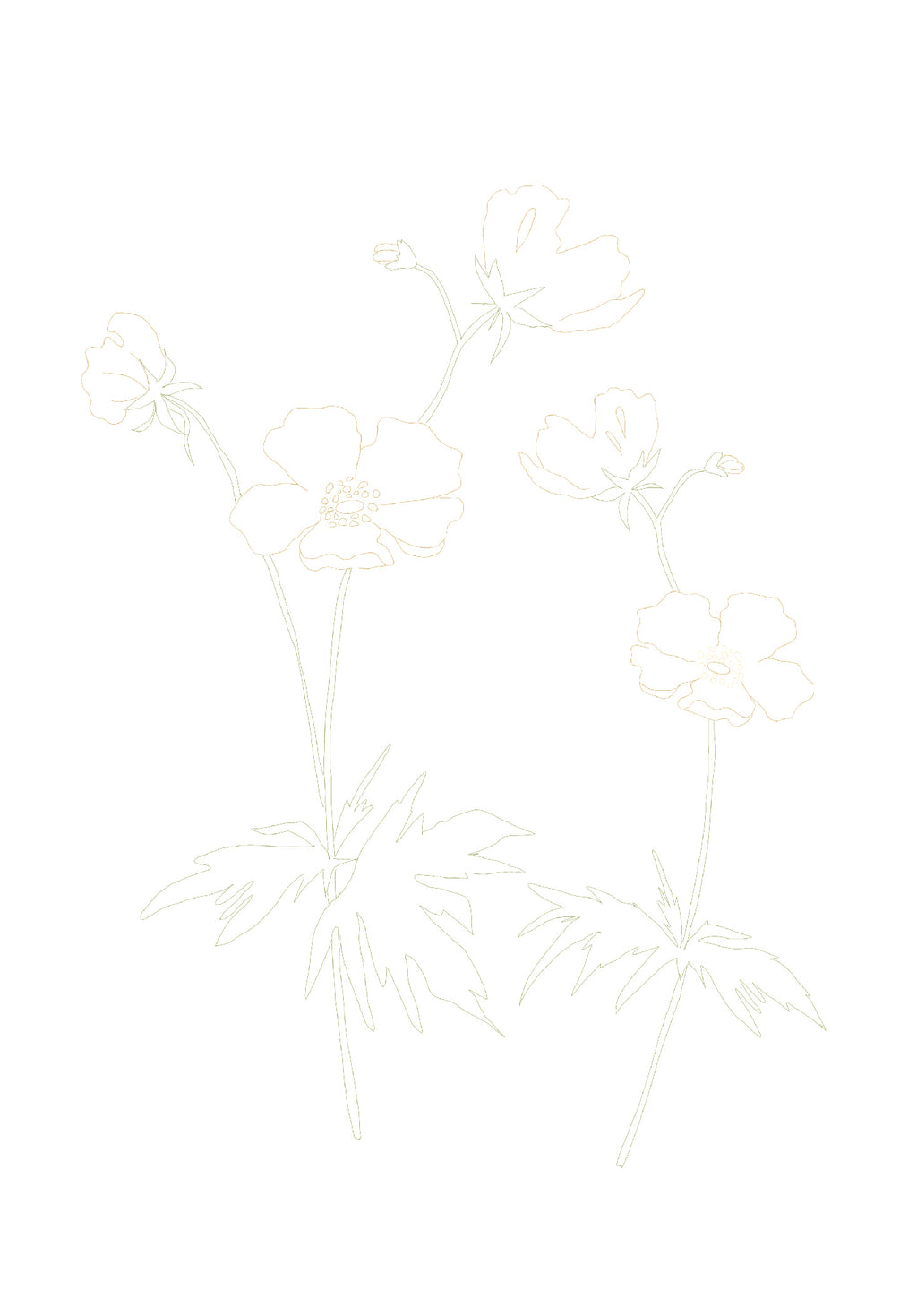 DIY Postcard set - the Spring edition