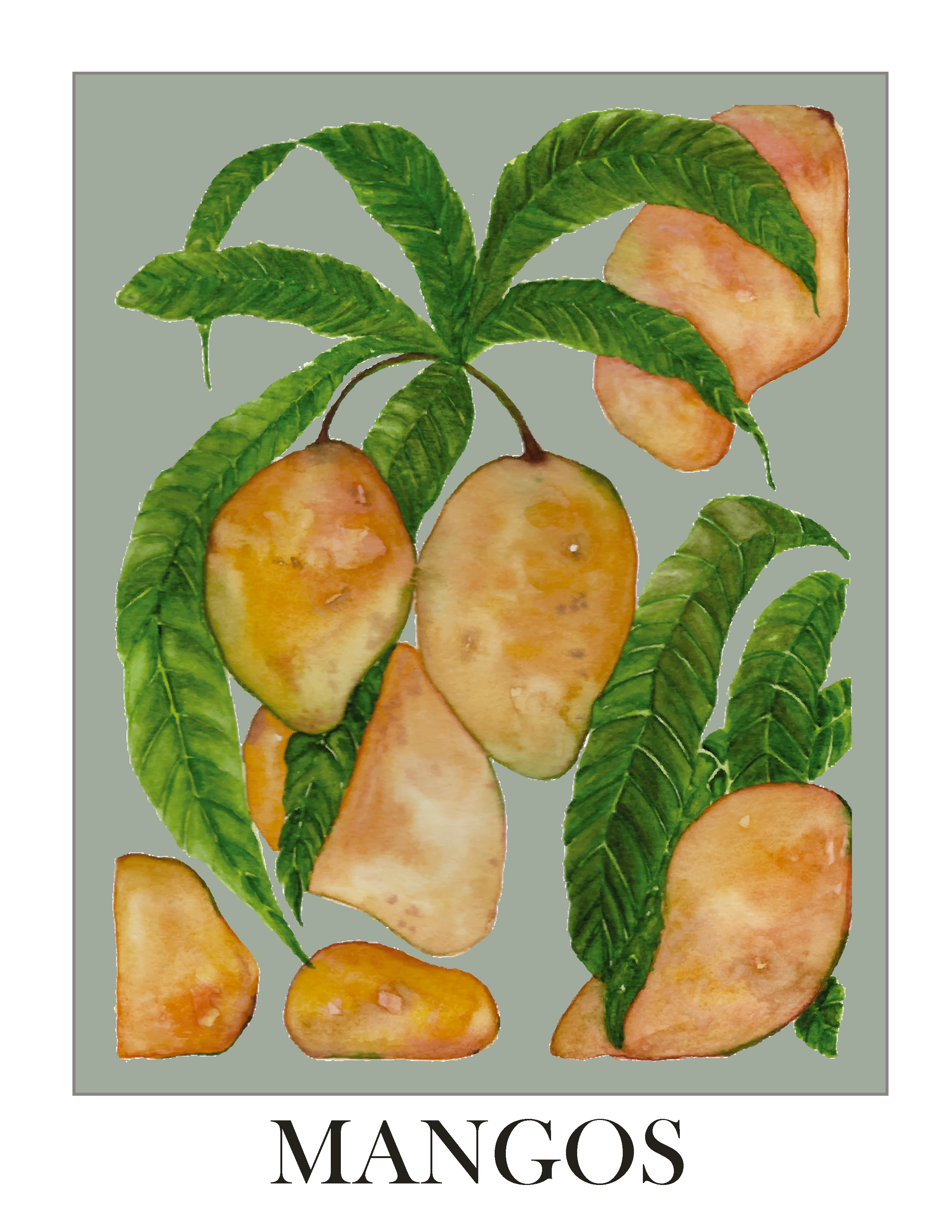 Mangoes - art print poster