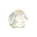 Brown bunny - mini art print
