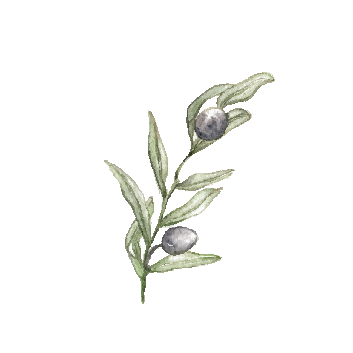 Olives - mini art prints