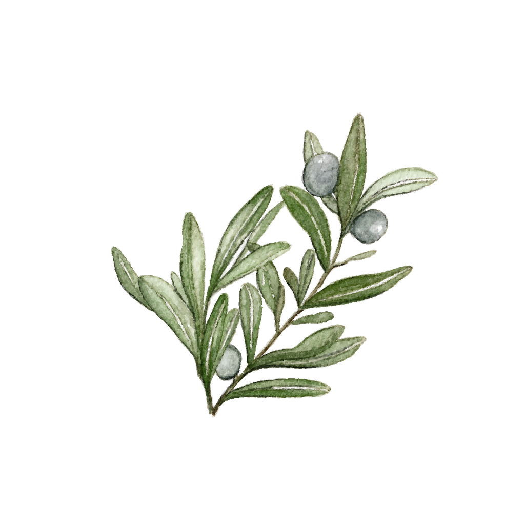 Olives - mini art prints