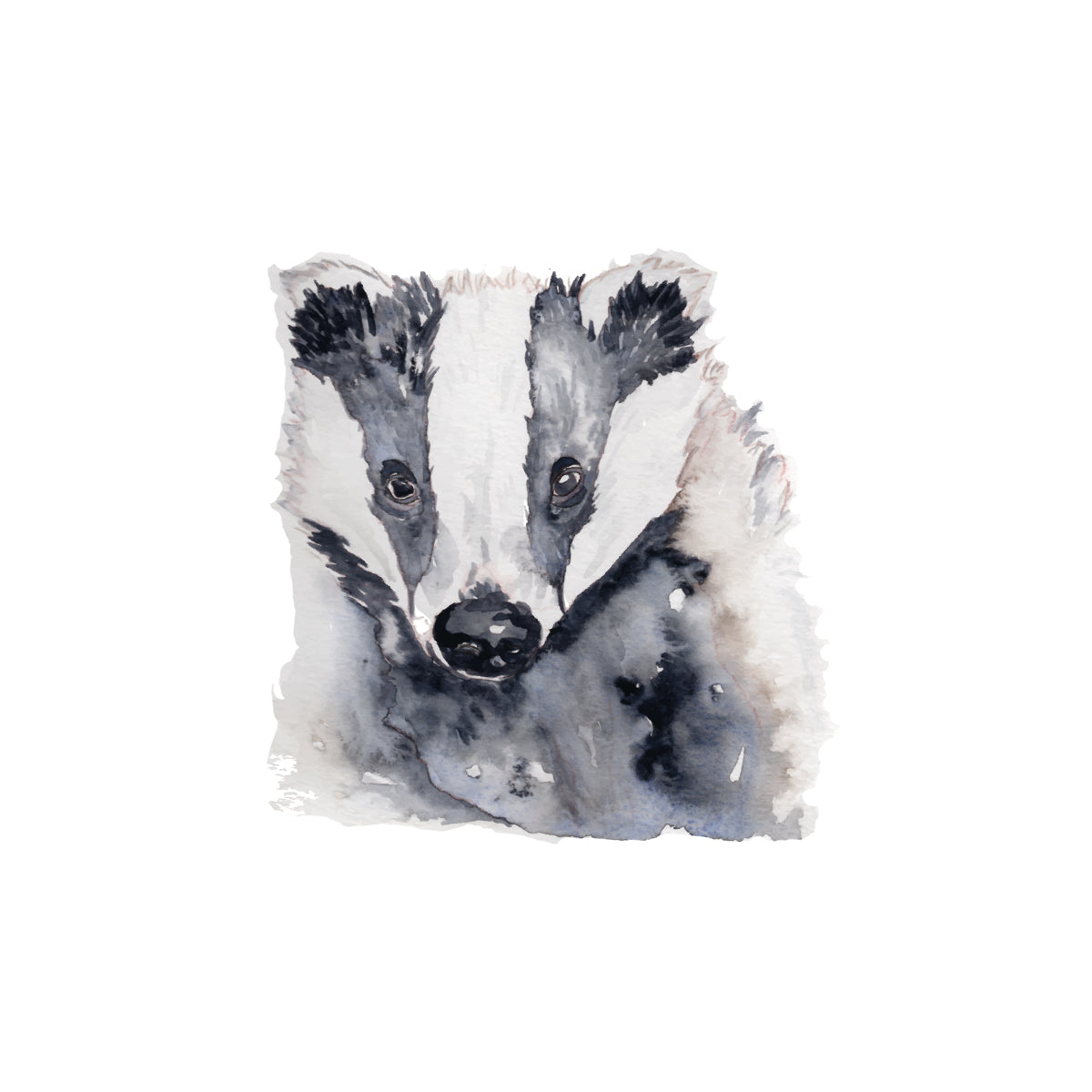 Watercolor mini painting of a badger's face and upper body, shown on a plain white background.