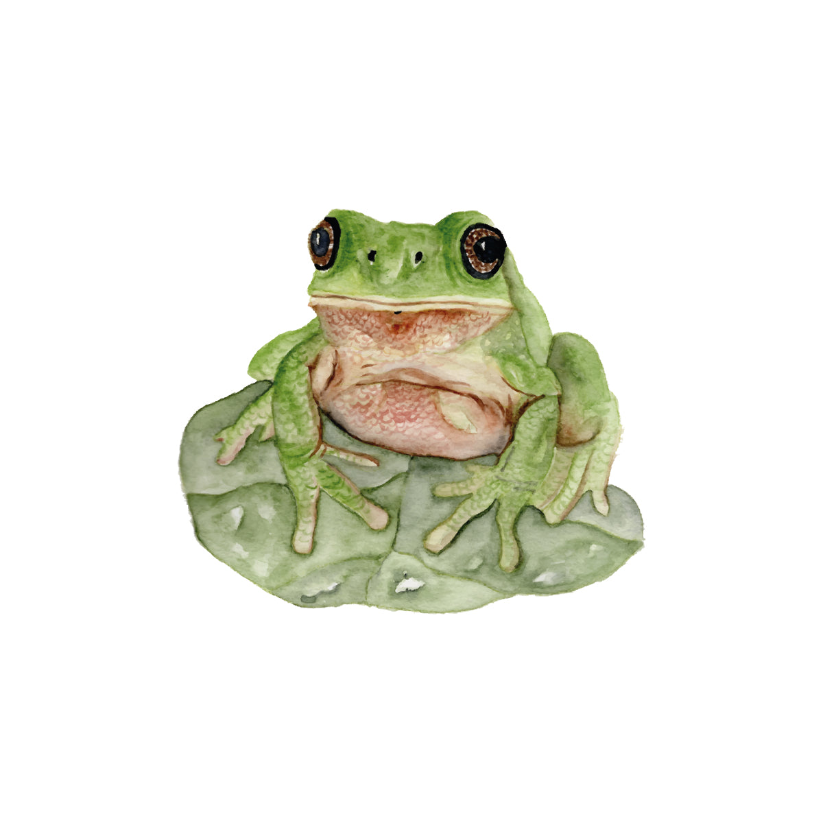 Watercolor mini green frog illustration 