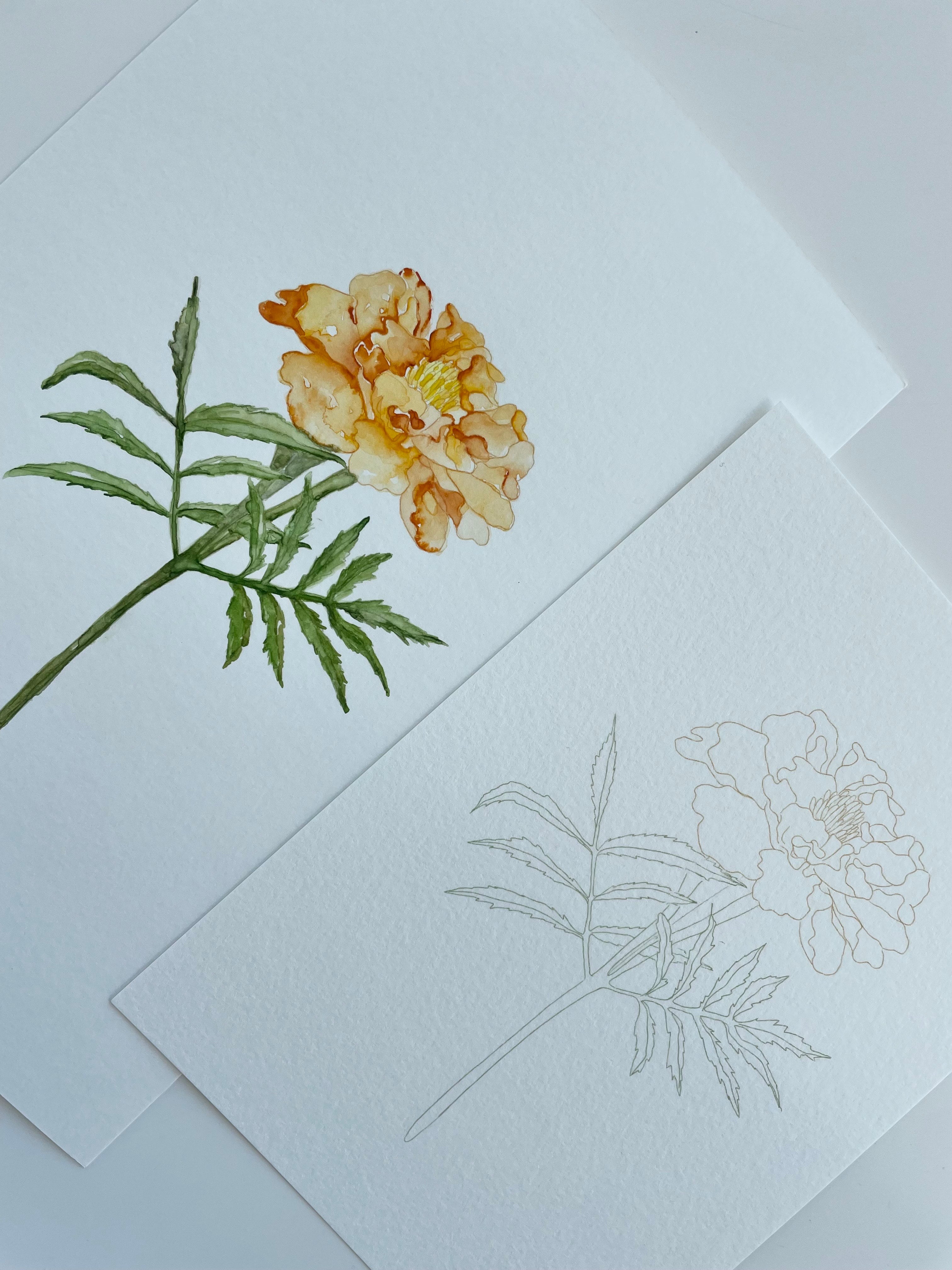 DIY Postcard set - the Fall edition