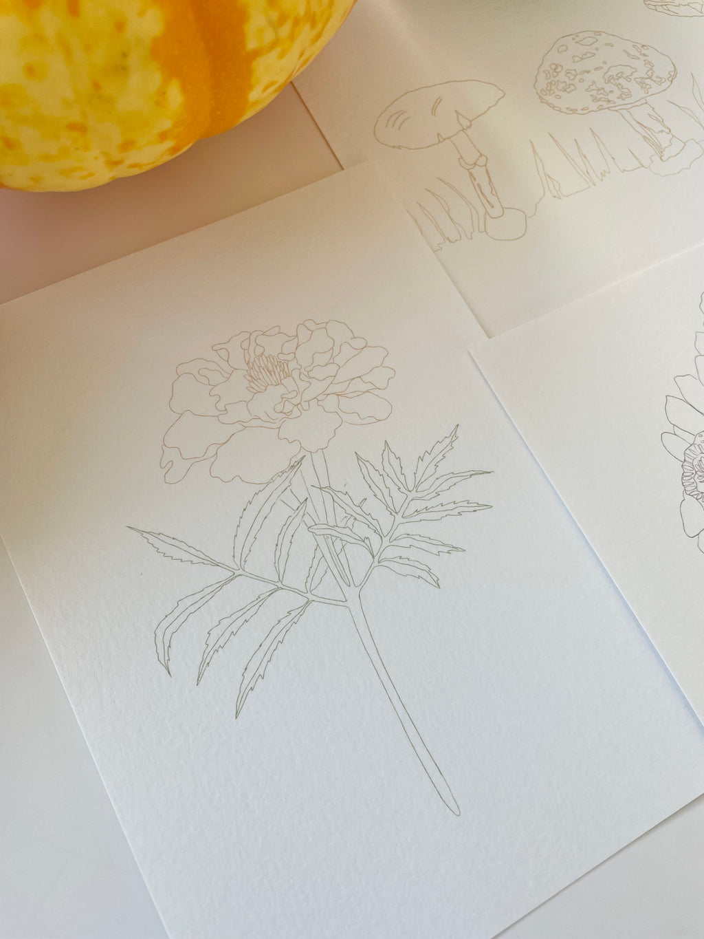 DIY Postcard set - the Fall edition