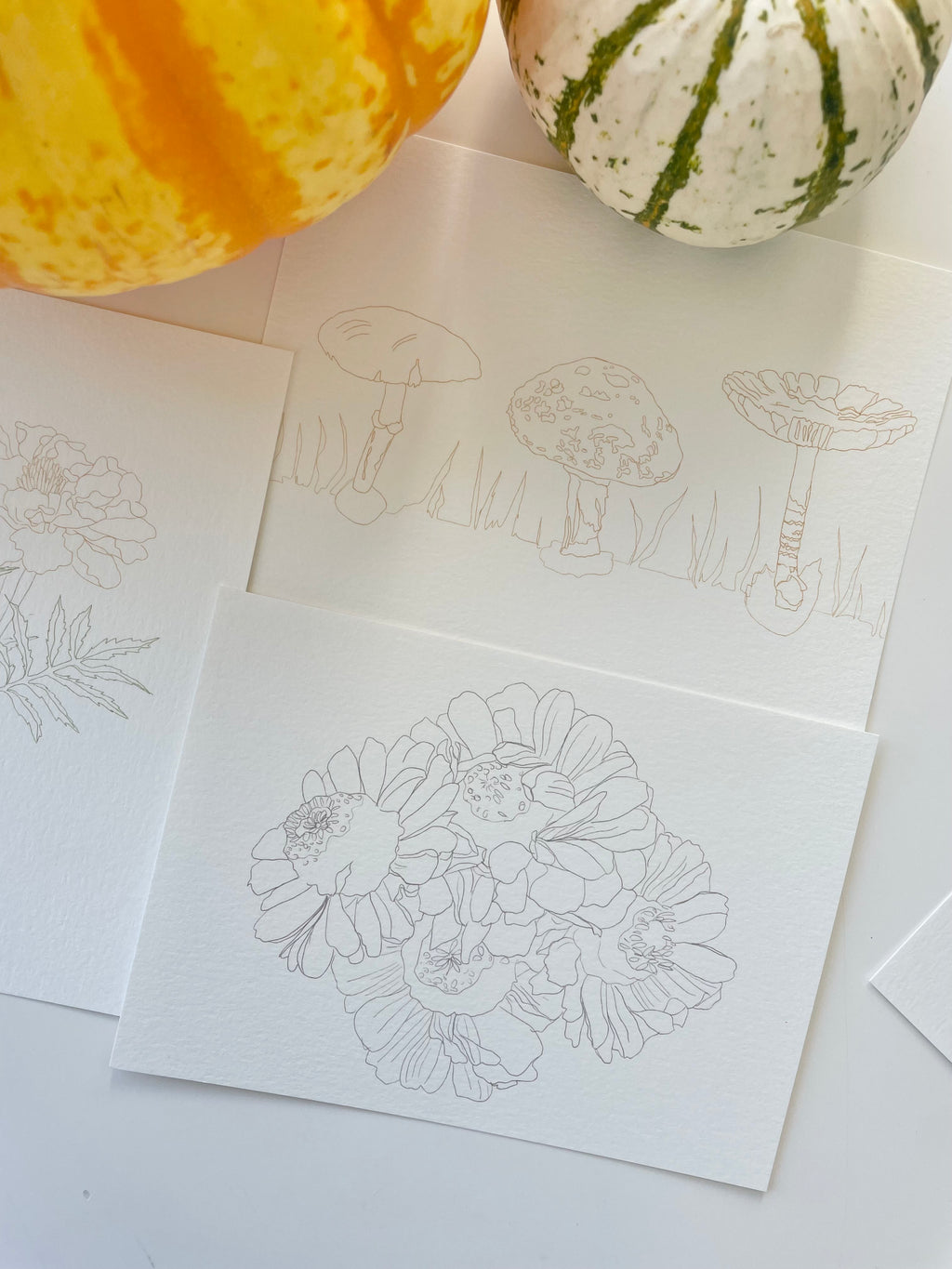 DIY Postcard set - the Fall edition