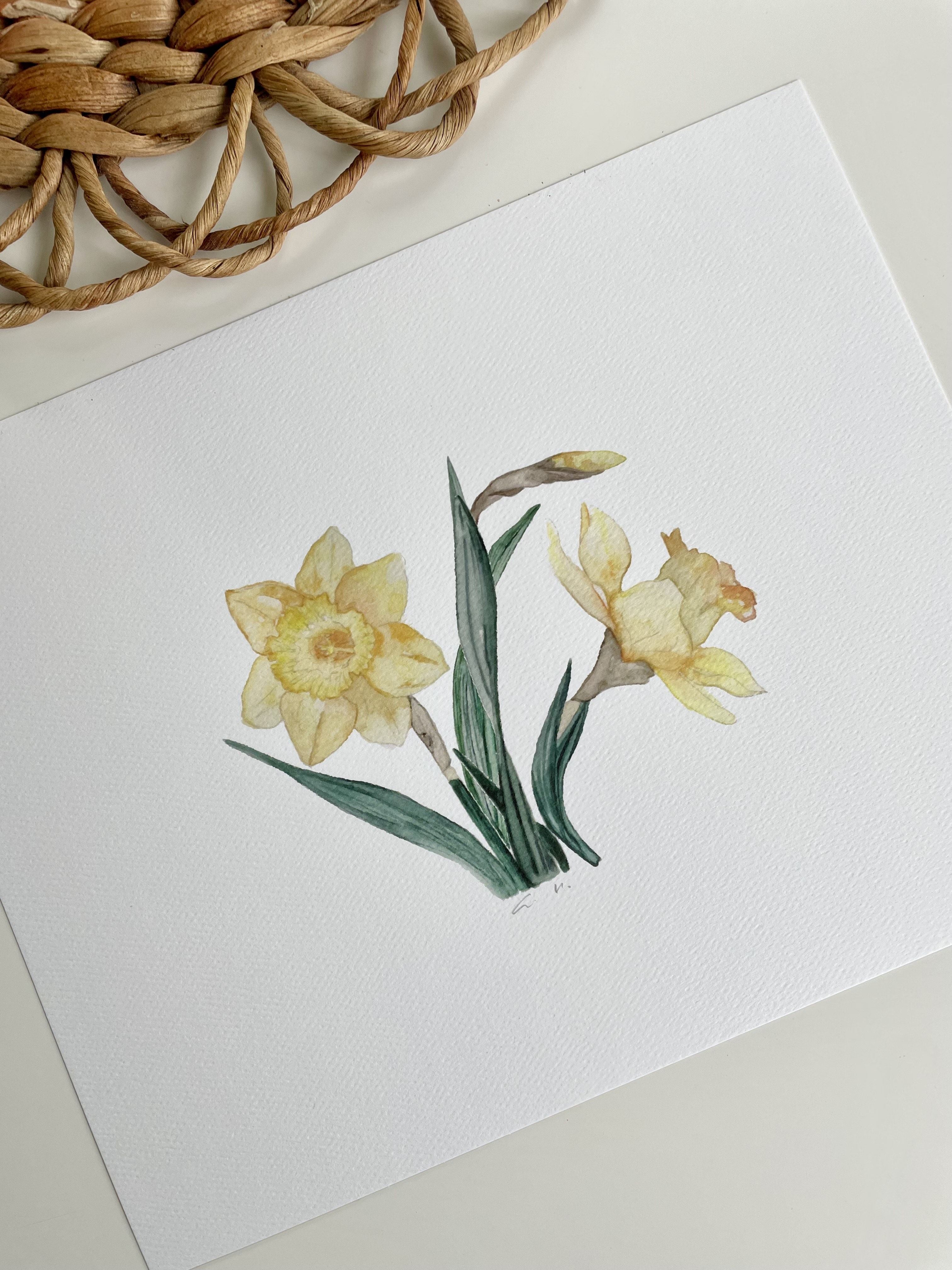 Daffodils - art prints
