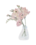 Fresias - art print