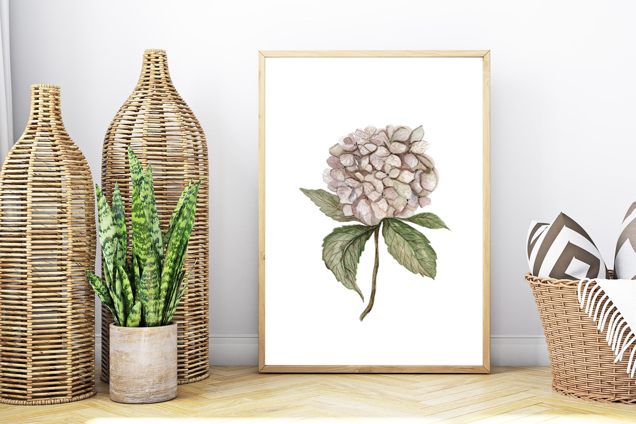 Hydrangeas in winter-time - art print