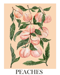 Peaches poster - art print