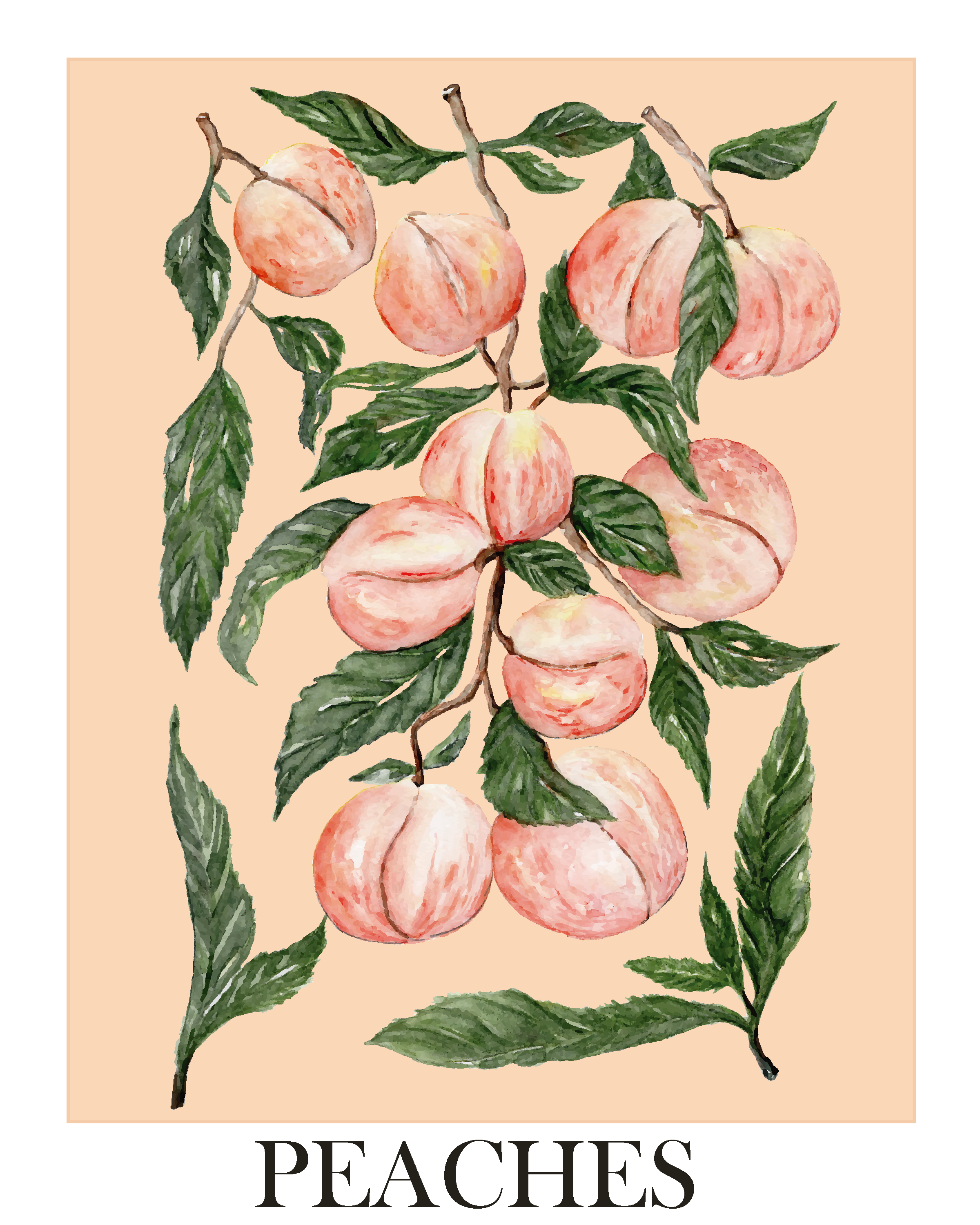 Peaches poster - art print