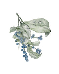 Winter blue branch - art print