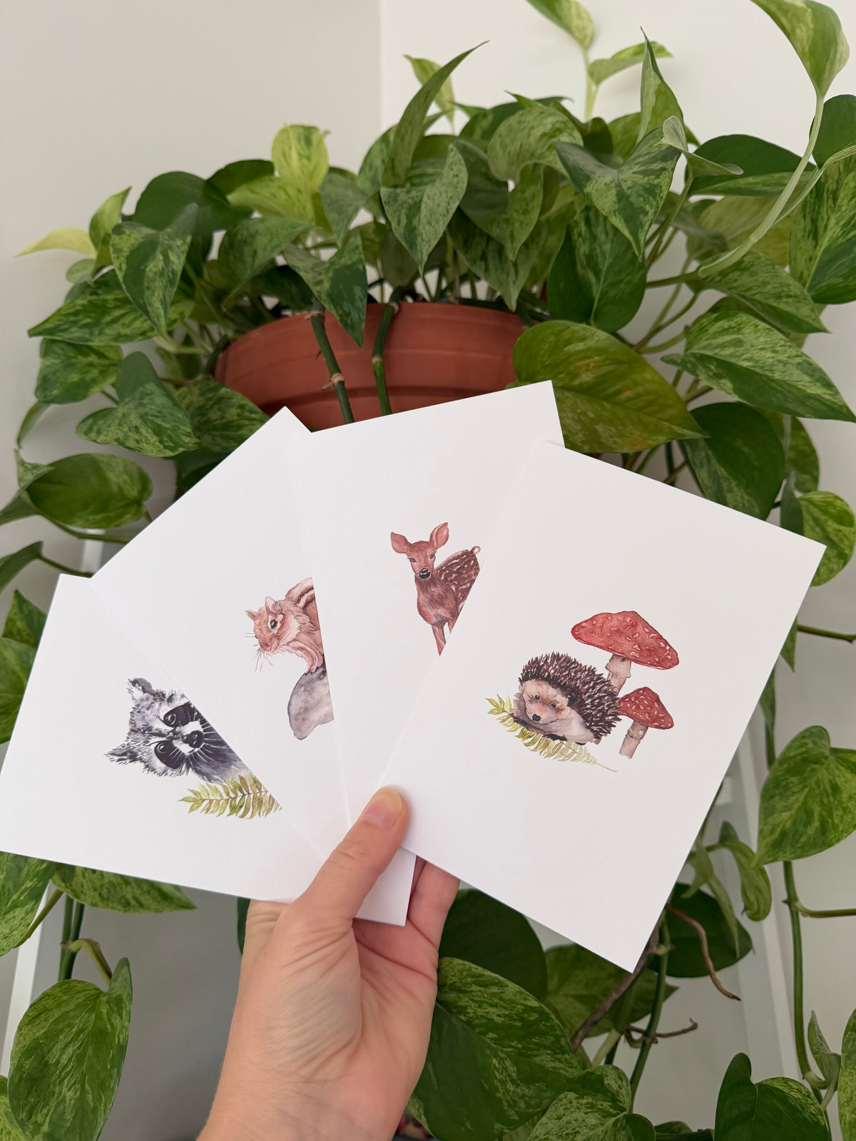 A hand holds three small white greeting cards featuring watercolor illustrations of a raccoon, a fox, a deer, and a hedgehog with red mushrooms, set against a background of green houseplants.