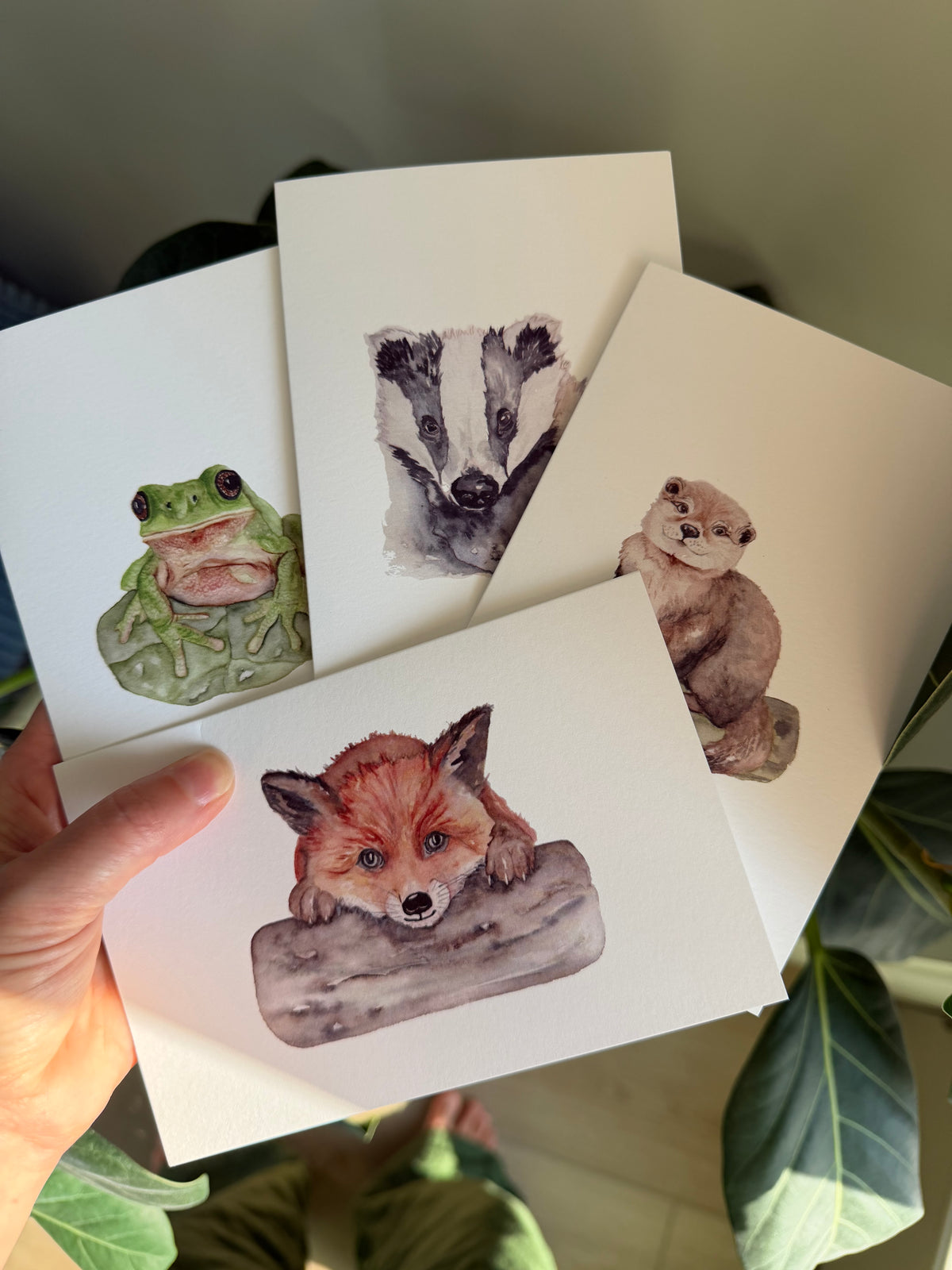 A hand holds a fan of four watercolor animal greeting cards, showing a green frog, a badger, a fox on a log, and a sea otter, with a plant leaf in the foreground.