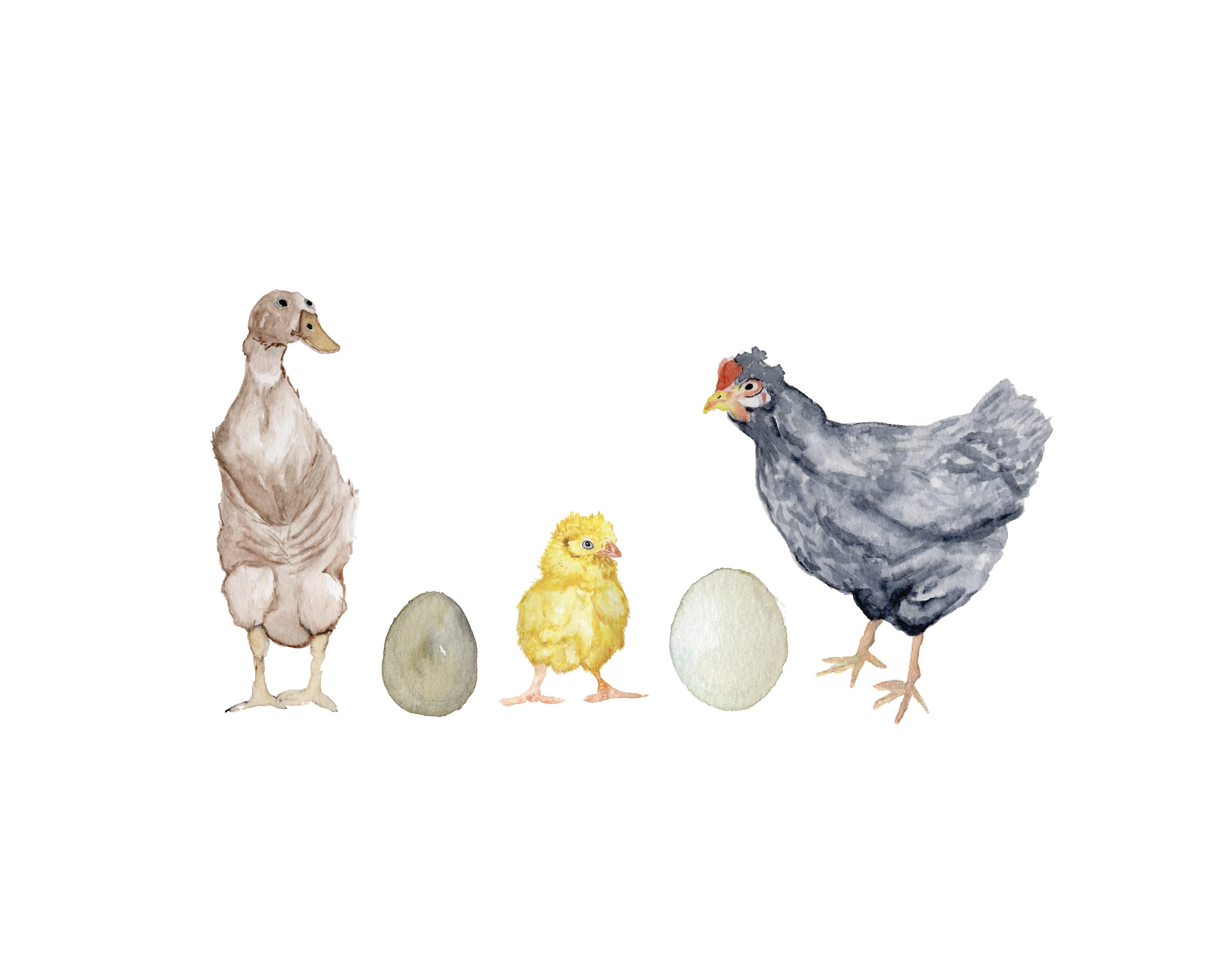Farm animals - art print