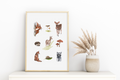 Forest animal poster - art print