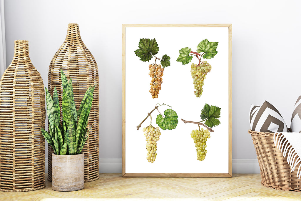 Grapes poster - art print