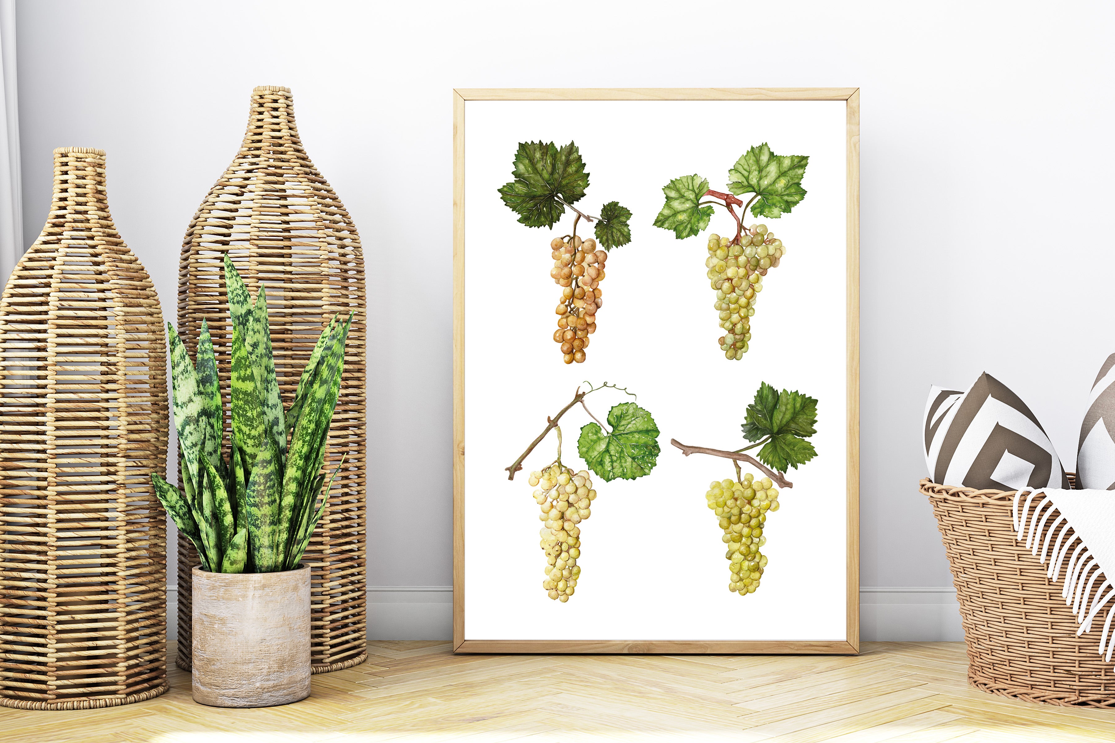 Grapes poster - art print