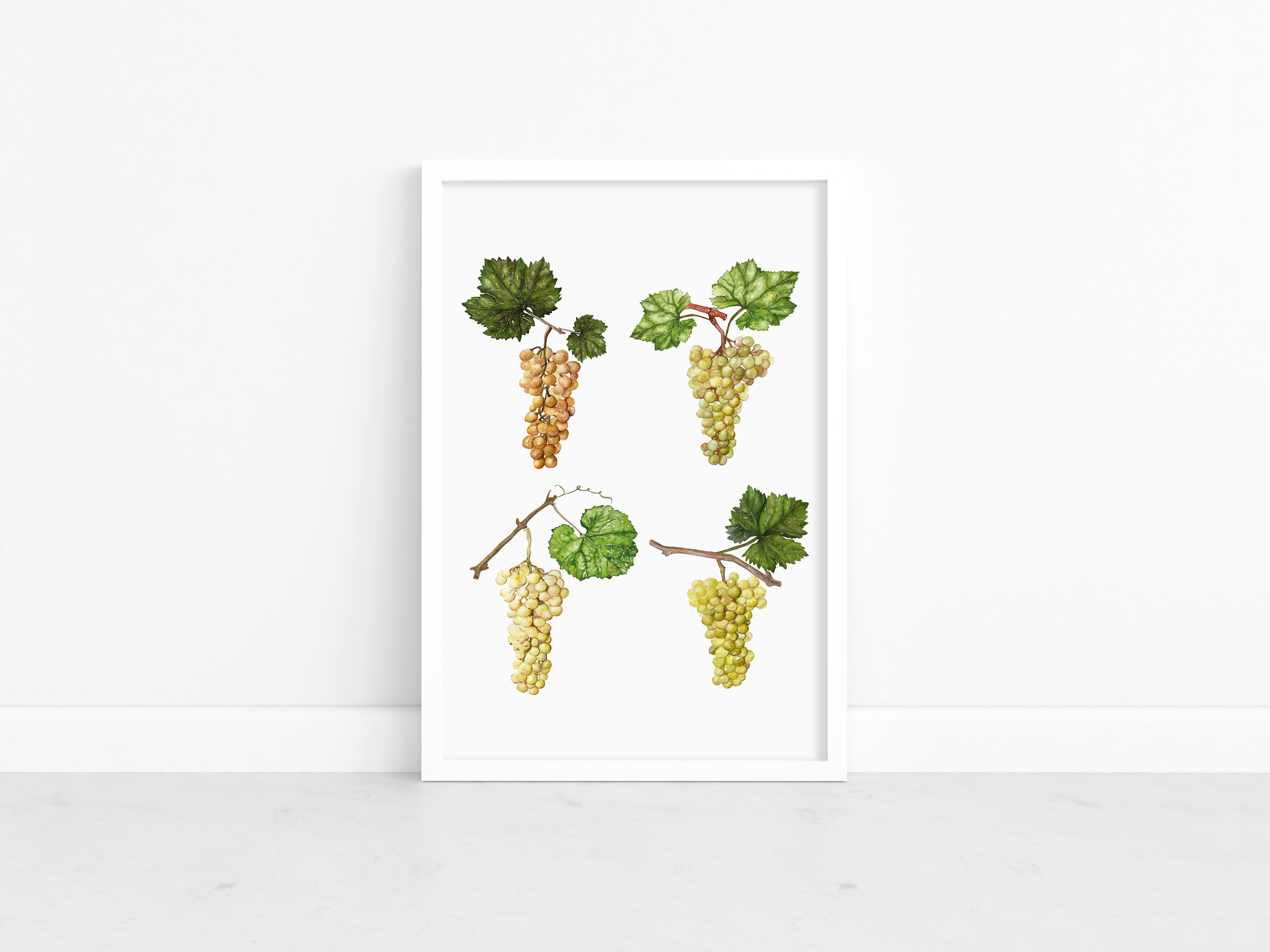 Grapes poster - art print