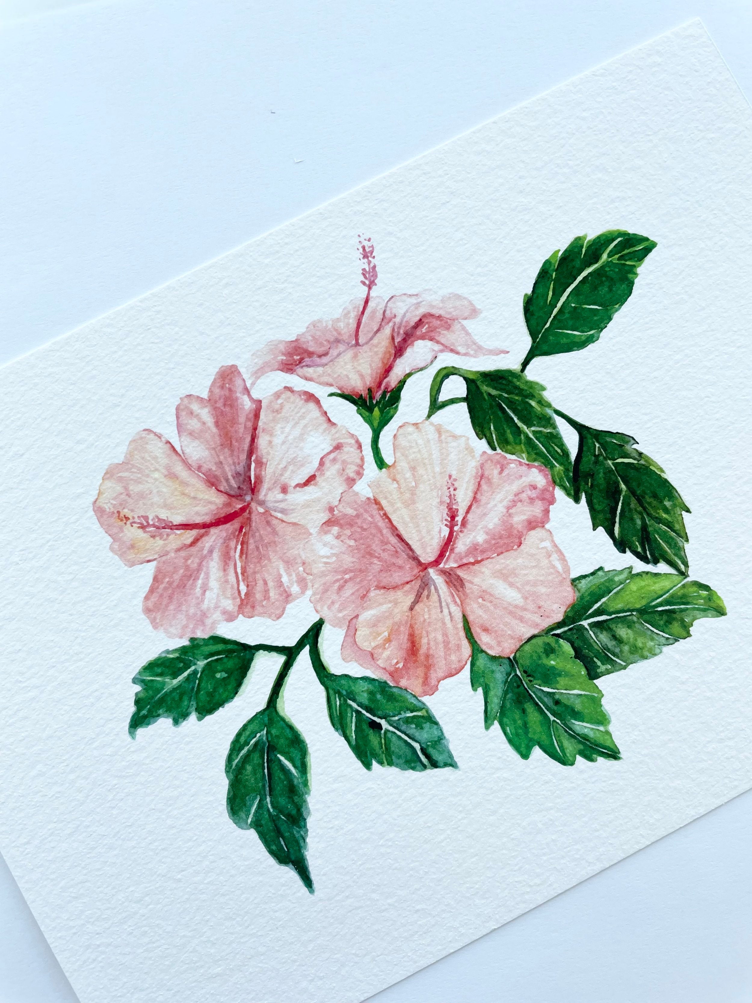 Hibiscus - art print