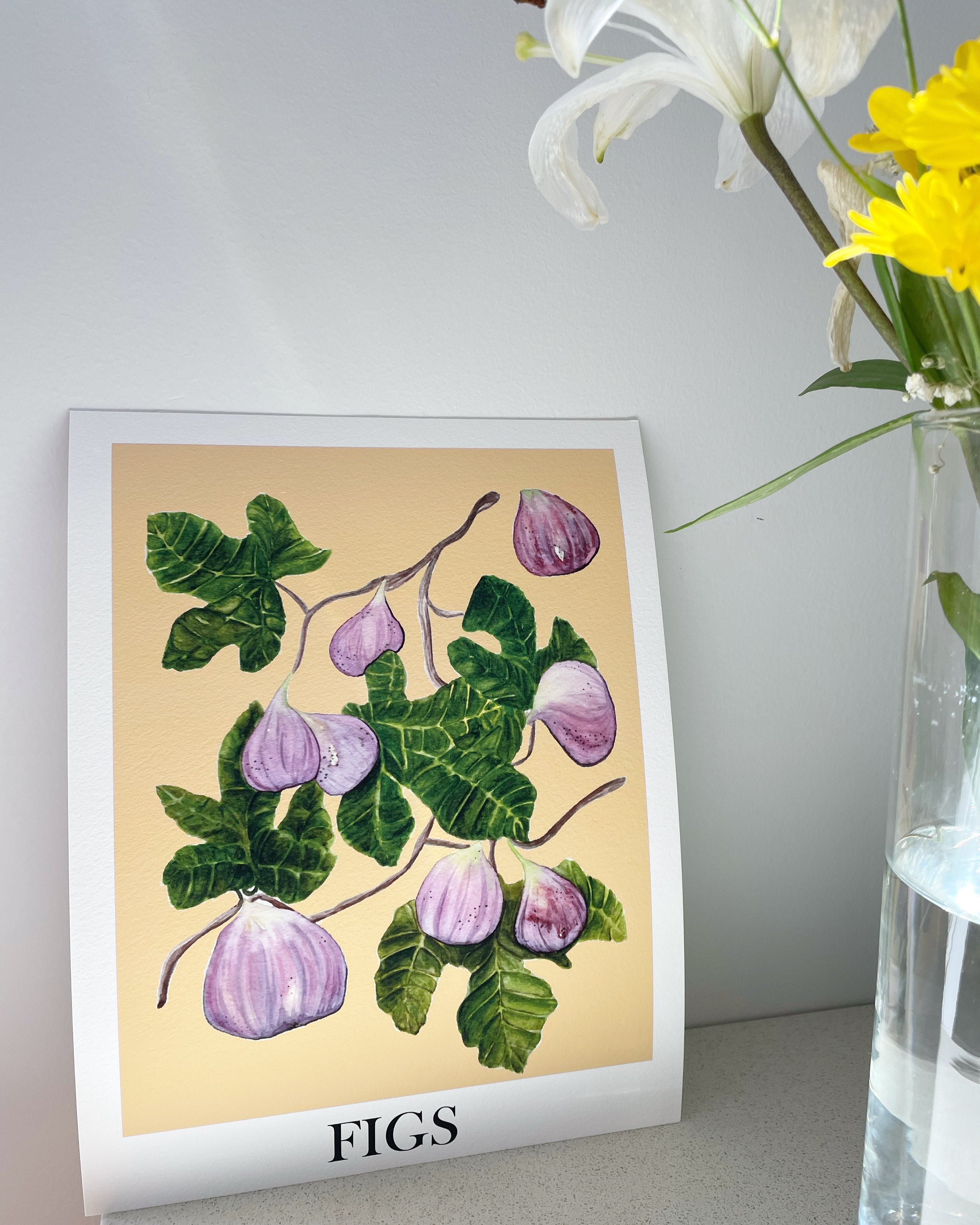 Figs - art print poster