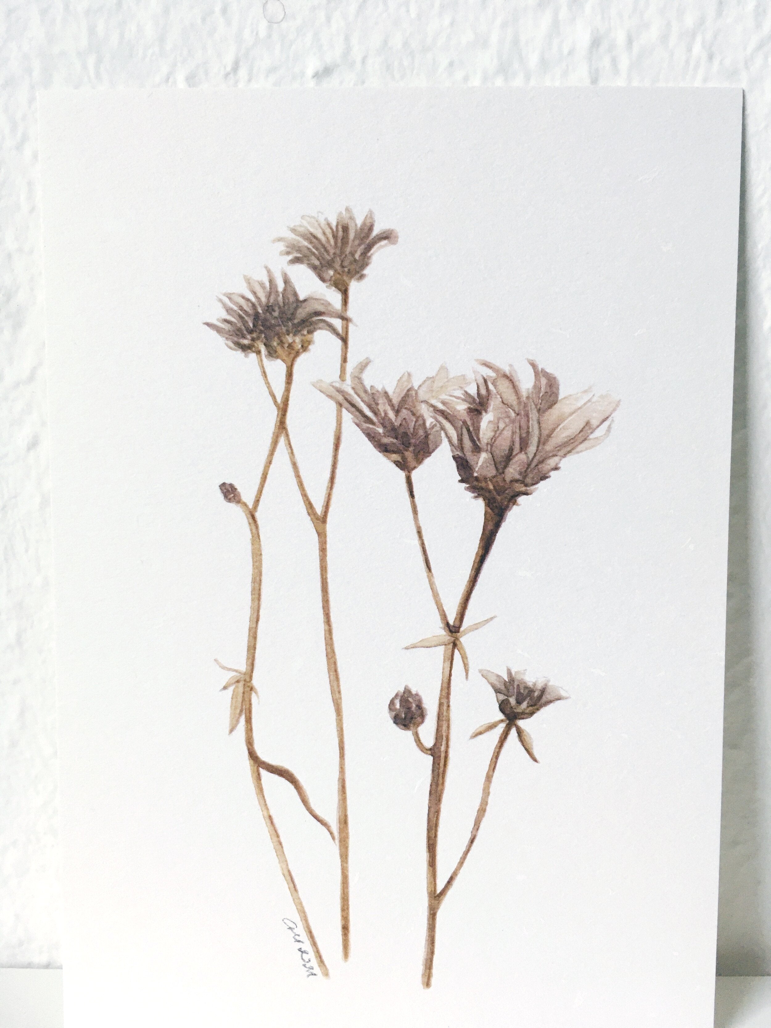 My gloomy summer flowers - art print