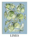 Limes - art print poster