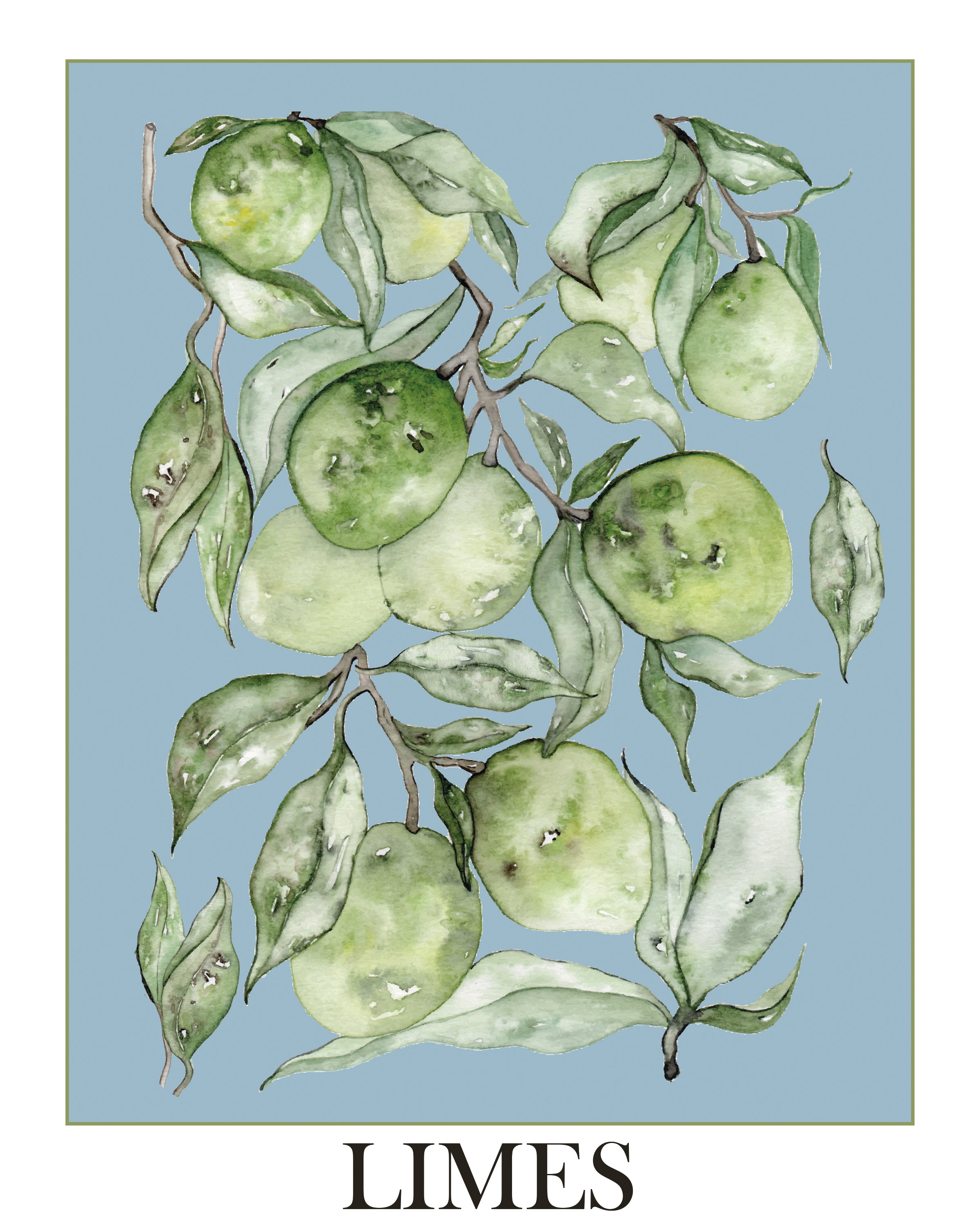 Limes - art print poster