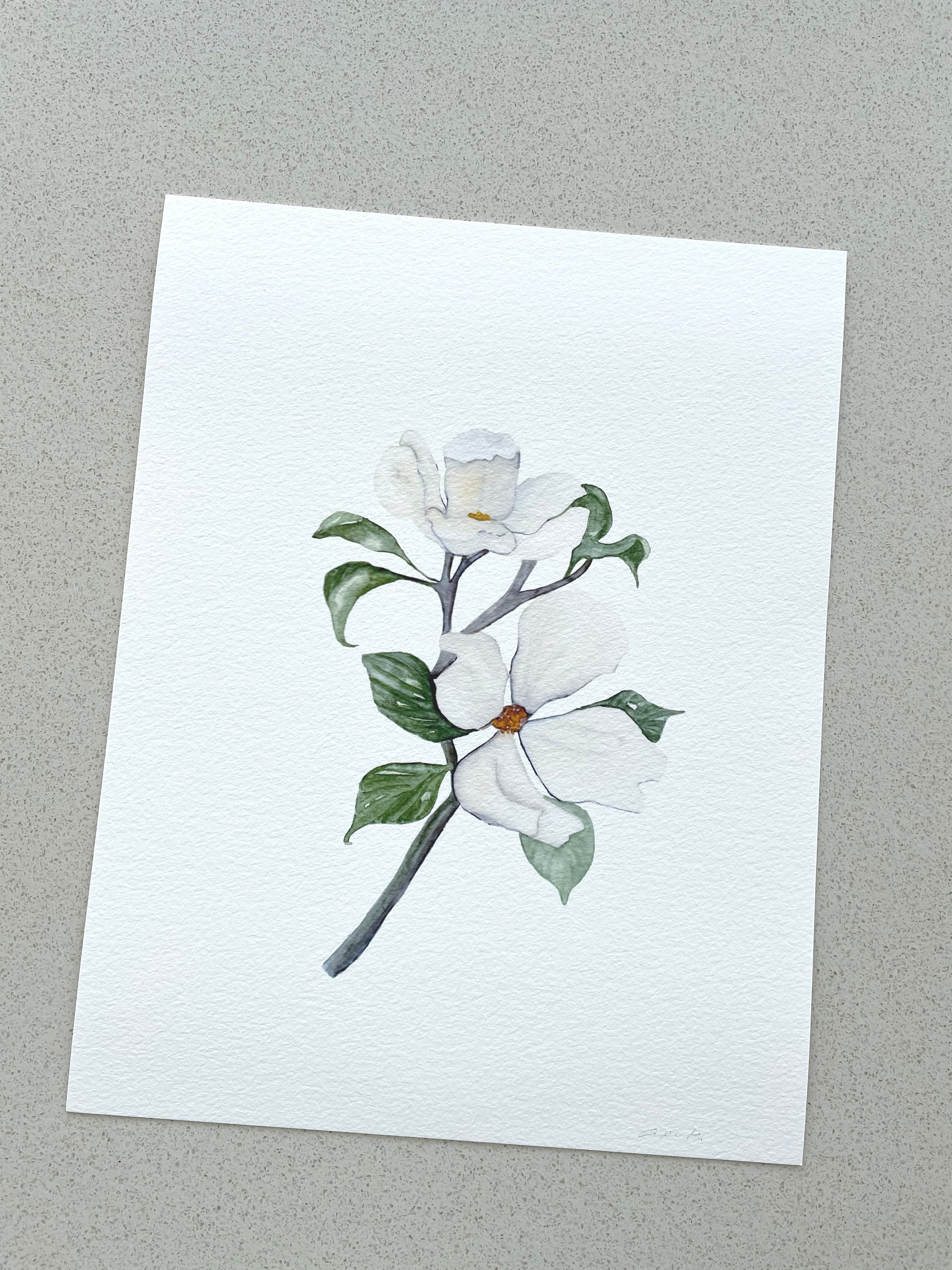 White magnolia - art print