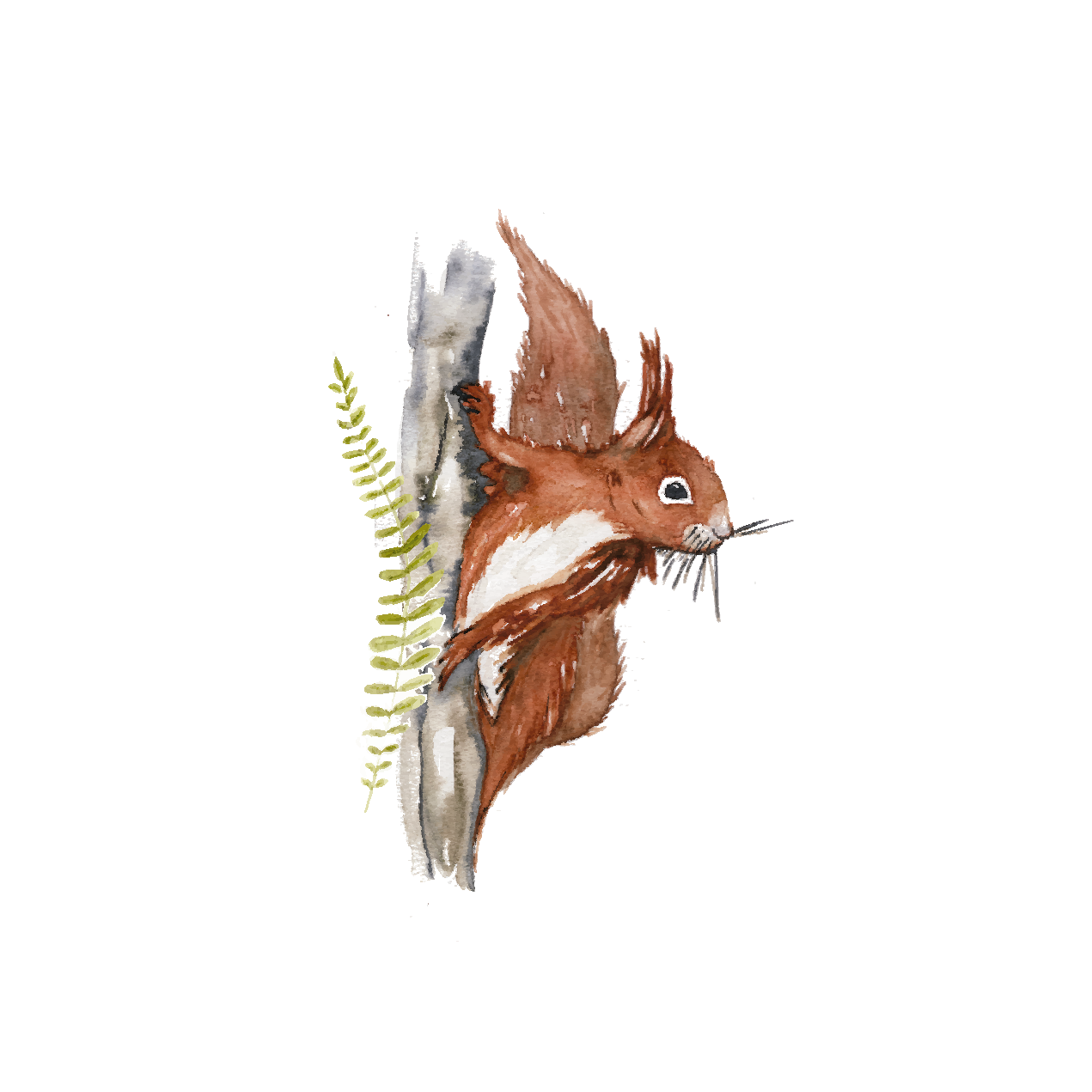 Squirrel - mini art print