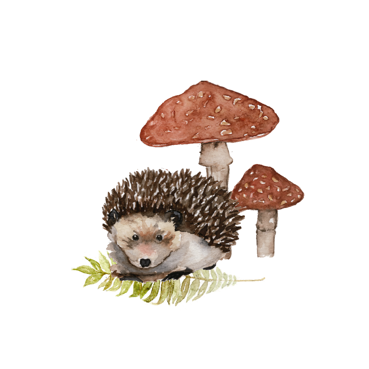 Hedgehog - mini art print