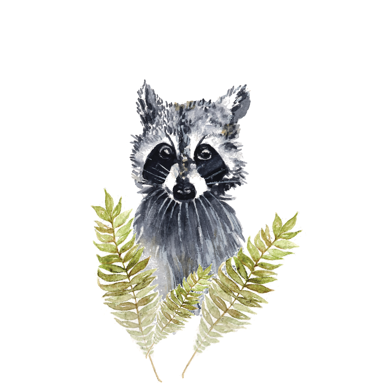 Raccoon - mini art print
