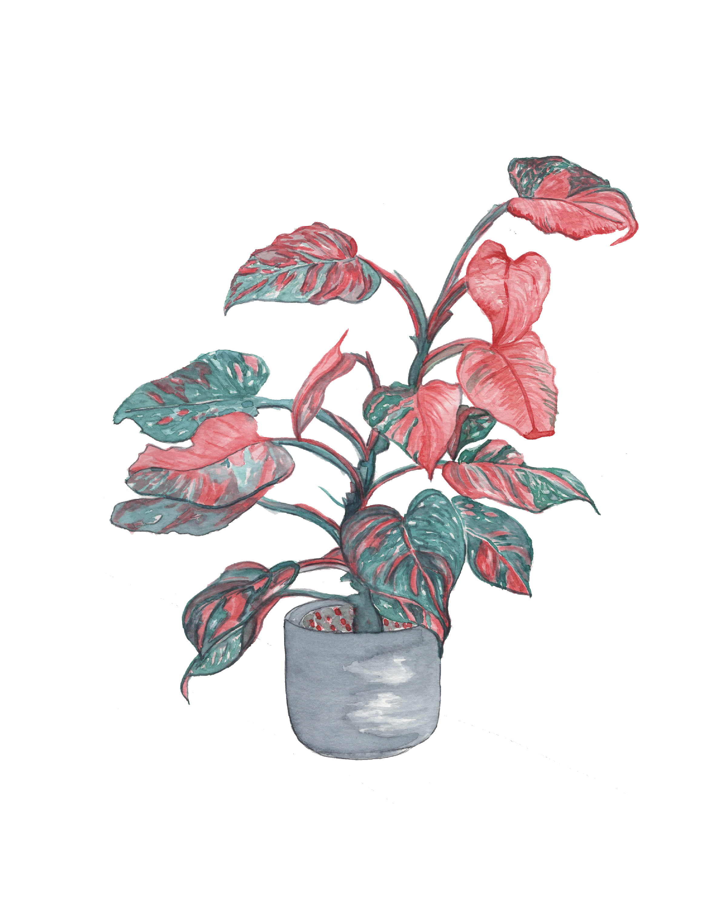 Pink Philo - art print
