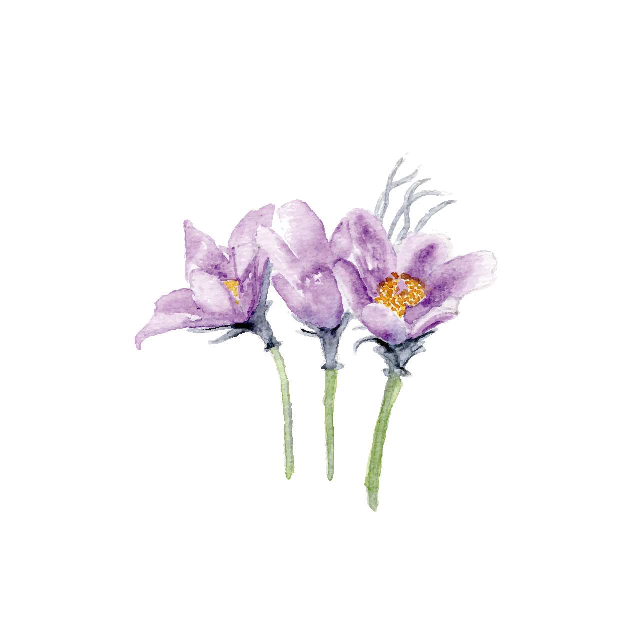 Mini protected flowers
