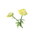 Mini protected flowers